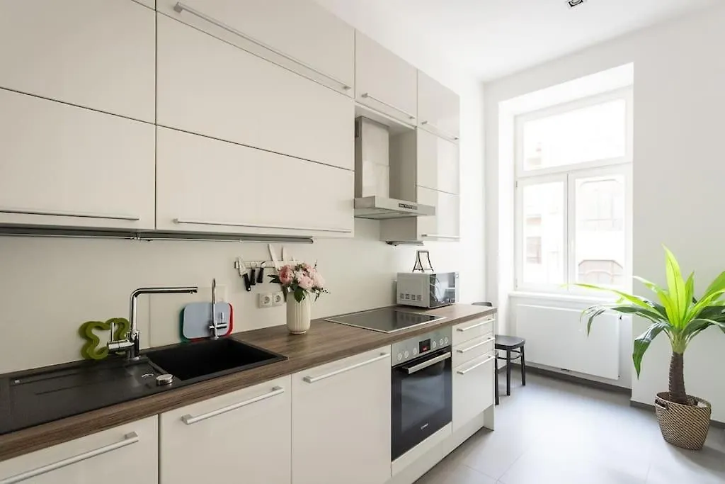 Franz 24 - Typical Viennese Apartment In The Heart Of Wien